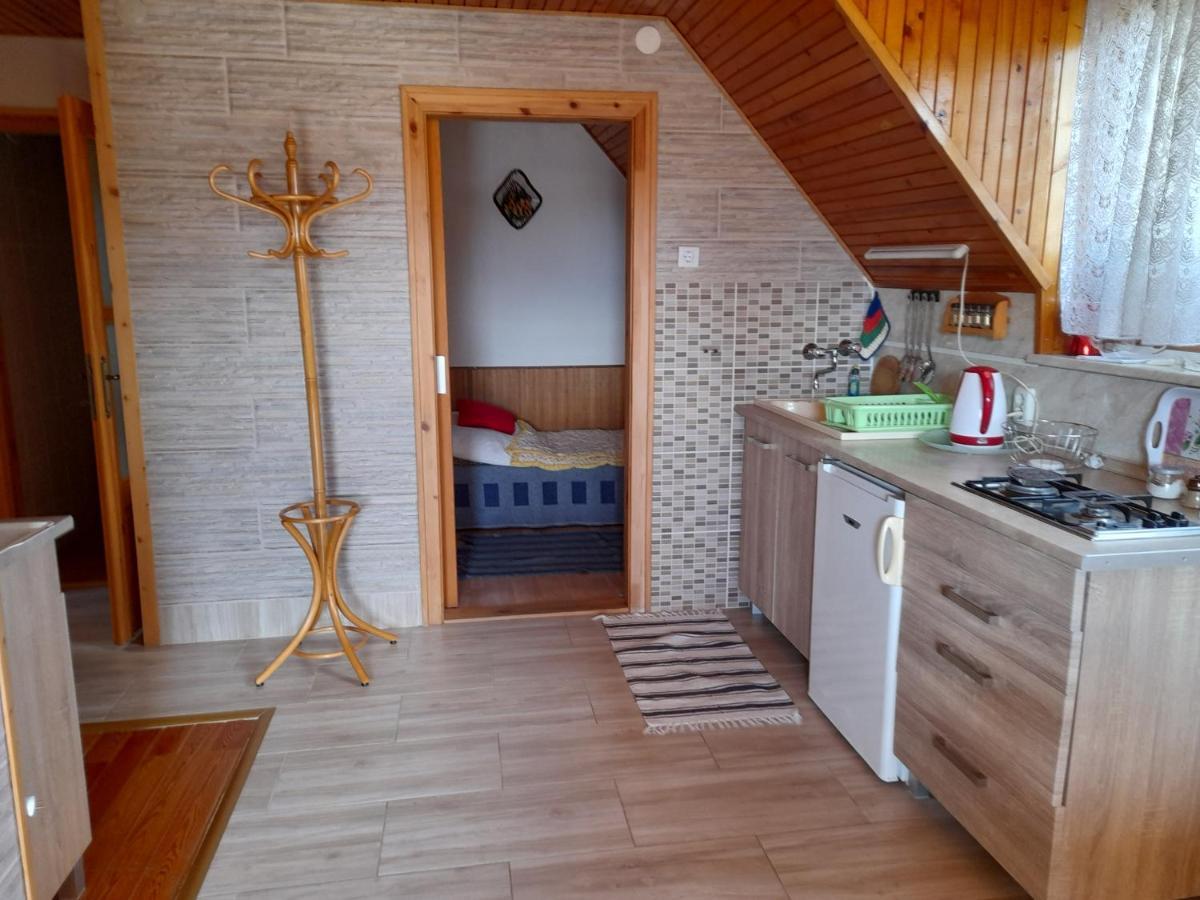 Harmonia Vendeghaz 100 Meterre Az Igali Gyogyfuerdotol Apartment Exterior foto