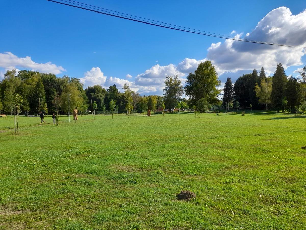 Harmonia Vendeghaz 100 Meterre Az Igali Gyogyfuerdotol Apartment Exterior foto