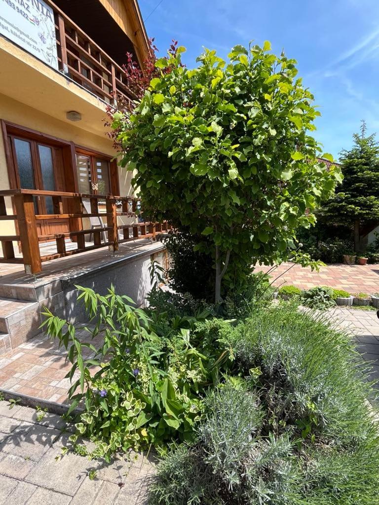 Harmonia Vendeghaz 100 Meterre Az Igali Gyogyfuerdotol Apartment Exterior foto